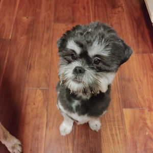 Meet your Posher, Min